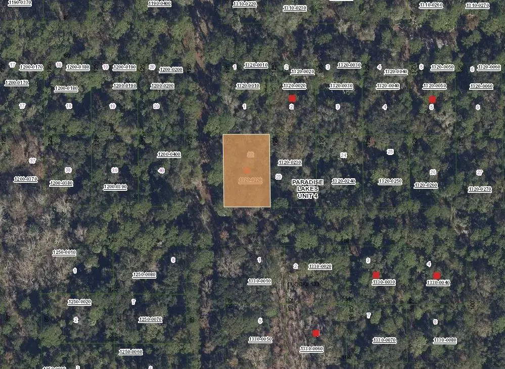 Tbd Mandarin Avenue, Georgetown, FL 32139 - Image #1