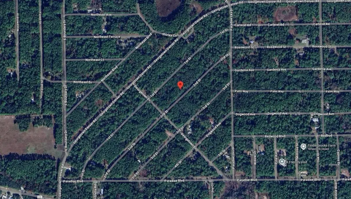 210 SE 2nd Street, Georgetown, FL 32139 - Image #1