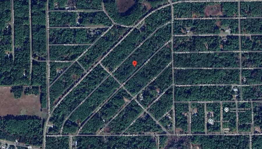 210 SE 2nd Street, Georgetown, FL 32139 - Image #2