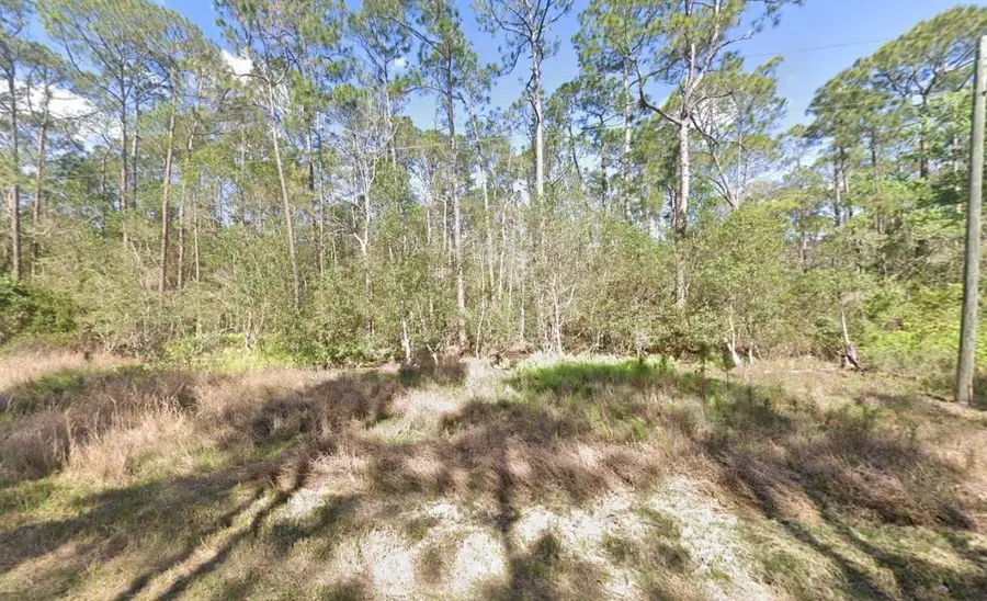 210 SE 2nd Street, Georgetown, FL 32139 - Image #3