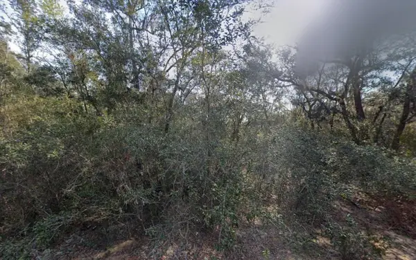 188 Kay Street, Interlachen, FL 32148