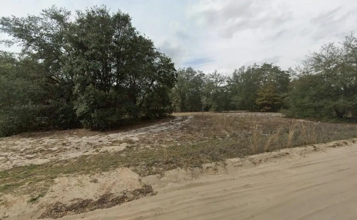 509 Lenore Avenue, Interlachen, FL 32148 - Image #1