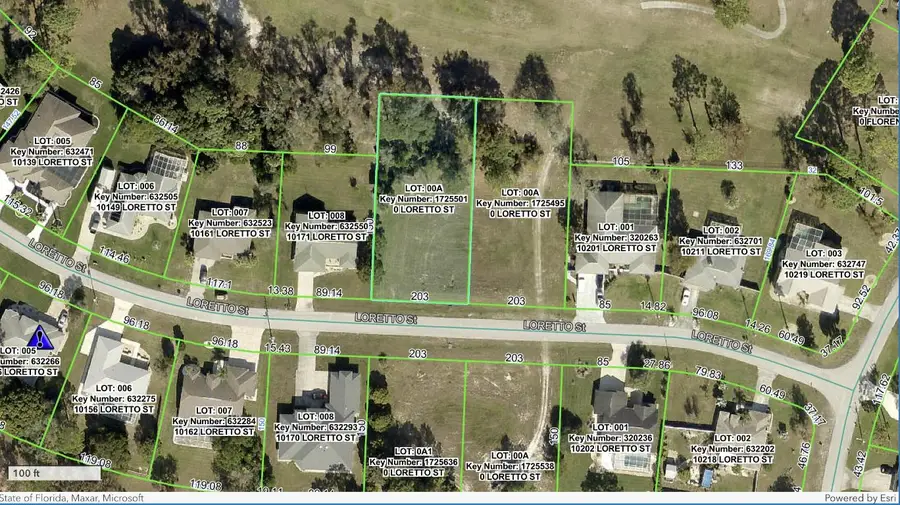 0 Tbd Loretto Lot 8 Street, Spring Hill, FL 34608 - Image #2