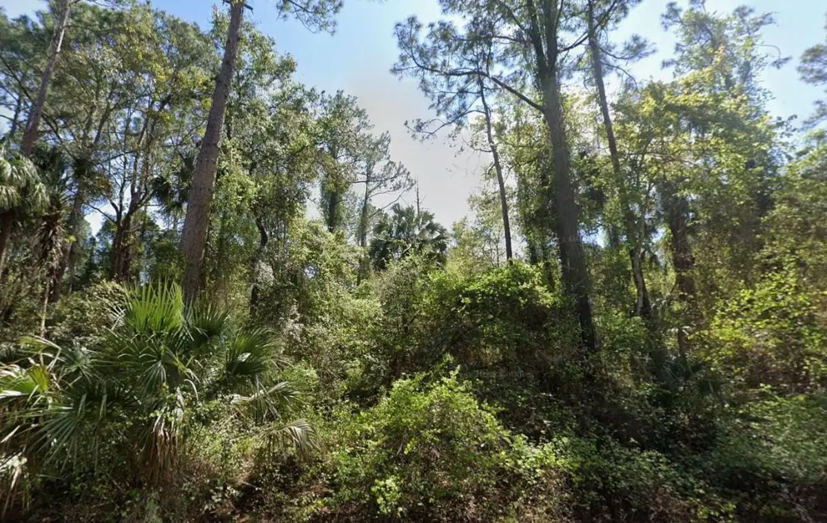 303 Siesta Drive, Georgetown, FL 32139 - Image #1