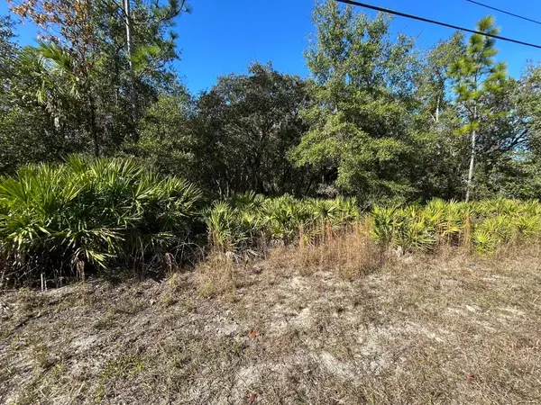 632 N Dunkenfield Avenue, Crystal River, FL 34429