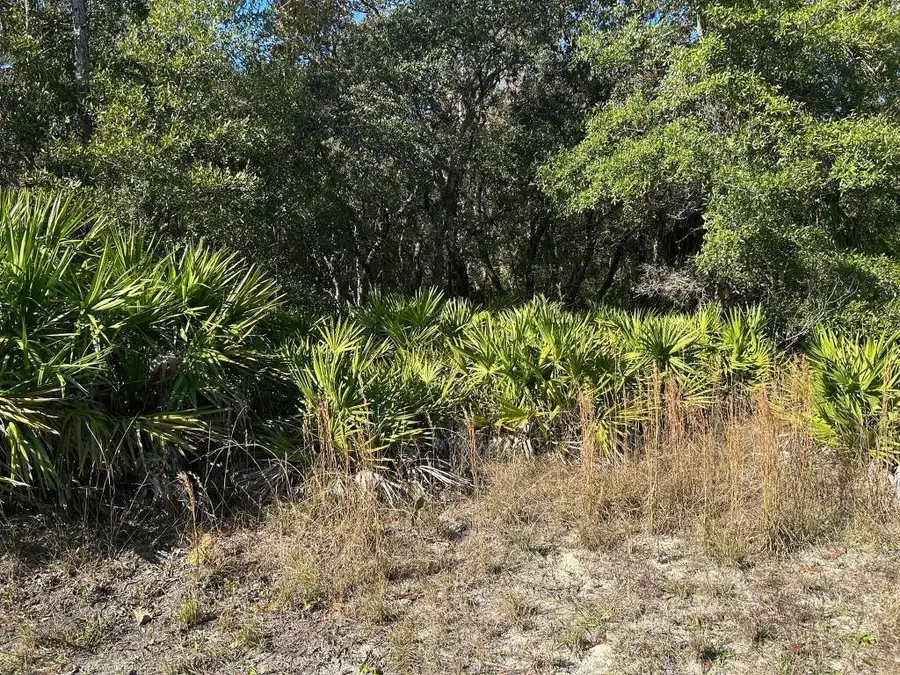 632 N Dunkenfield Avenue, Crystal River, FL 34429 - Image #2