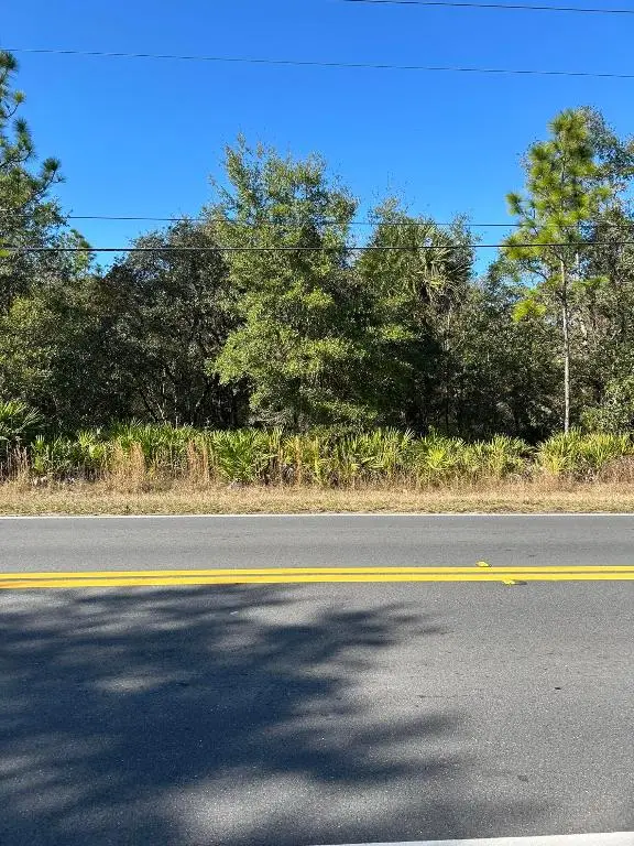 632 N Dunkenfield Avenue, Crystal River, FL 34429 - Image #3