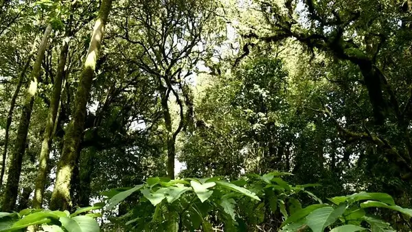 5657 NW Whitecap Road, Port St Lucie, FL 34953