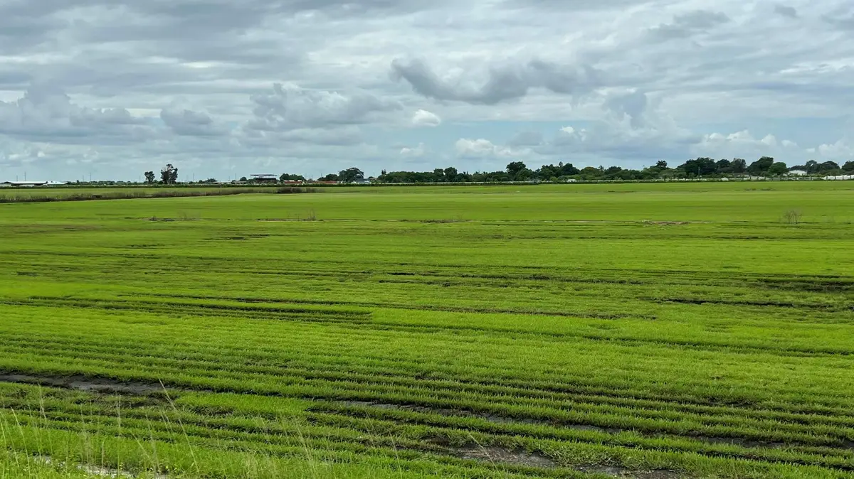 400 State Road 80, Belle Glade, FL 33430 - Image #1