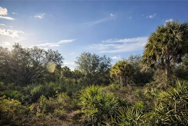 0 NW 294th, Okeechobee, FL 34974 - #3