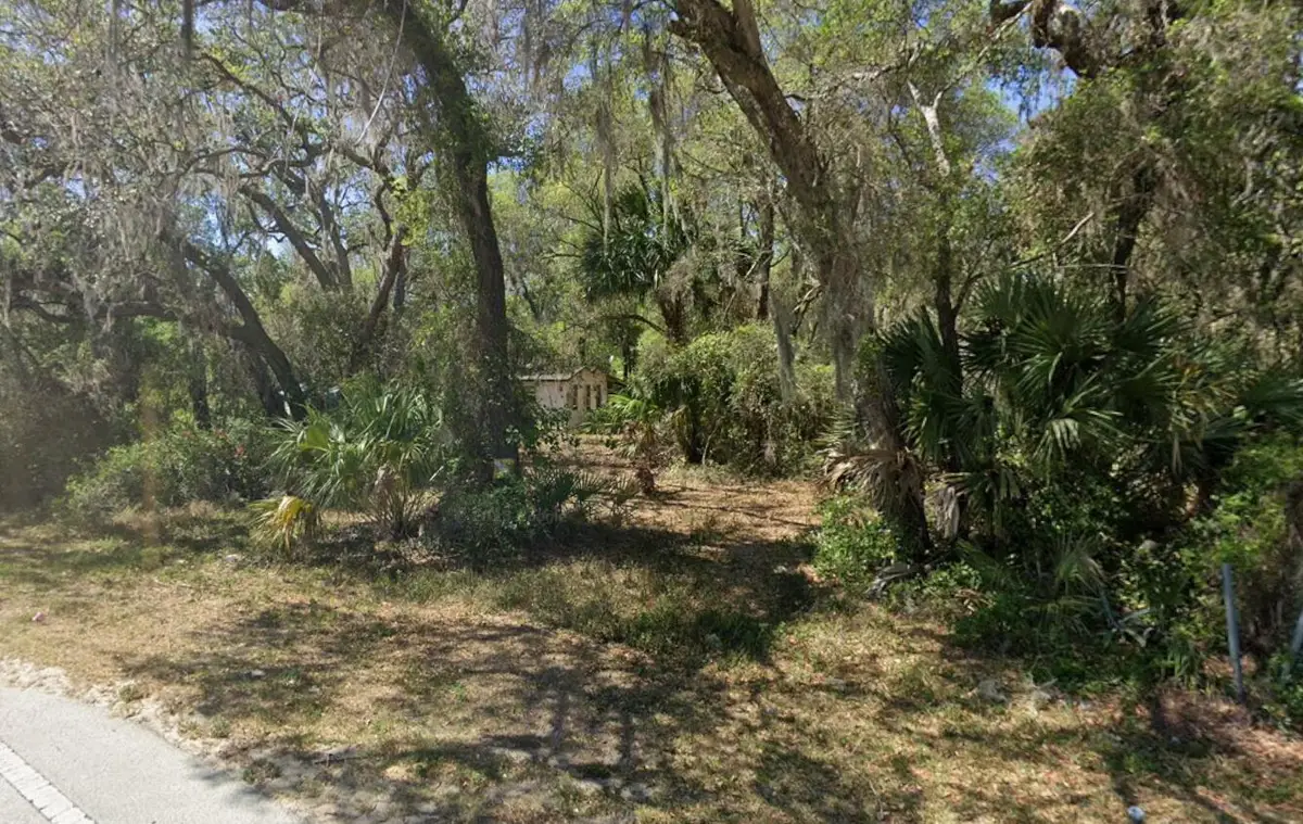 20135 SE Hwy 42, Weirsdale, FL 32195 - Image #1