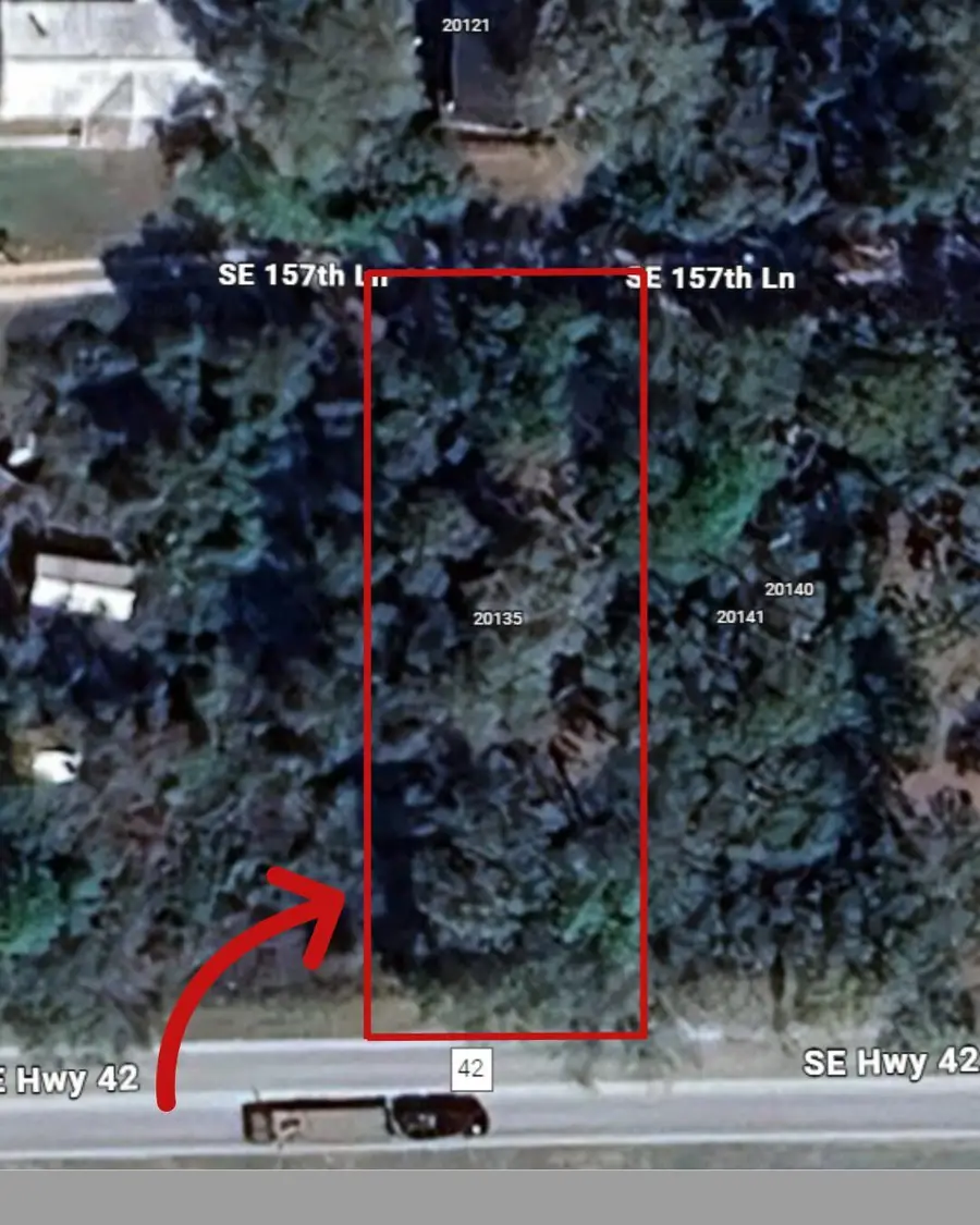 20135 SE Hwy 42, Weirsdale, FL 32195 - Image #2