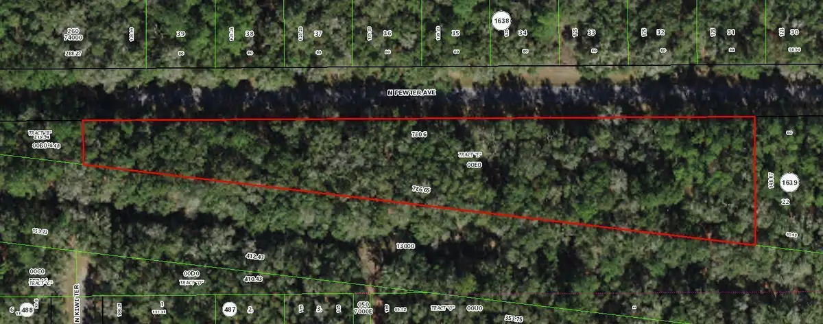 182 E Kingsdale Street, Citrus Springs, FL 34434 - Image #1