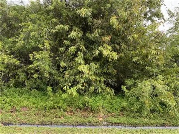 360 SW Undallo Road, Port St Lucie, FL 34953