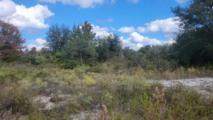 21321 NW 272nd Street, Okeechobee, FL 34972 - Image #2