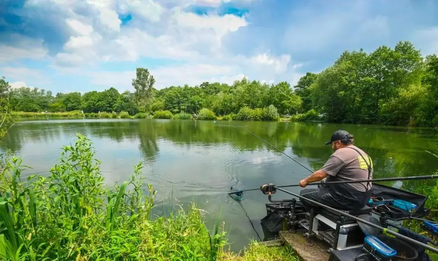 226 Maine Terrace, Hawthorne, FL 32640 - Image #2