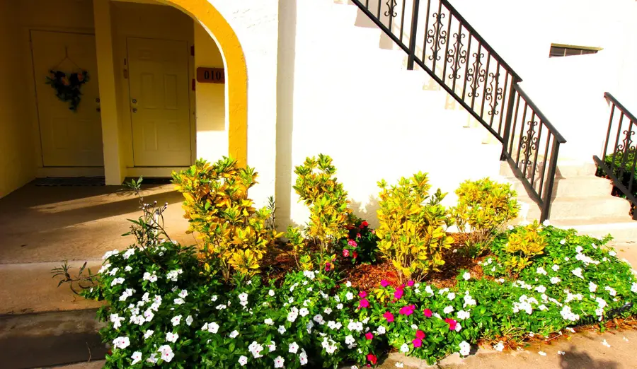 2900 Olivewood Terrace #203, Boca Raton, FL 33431 - Image #3