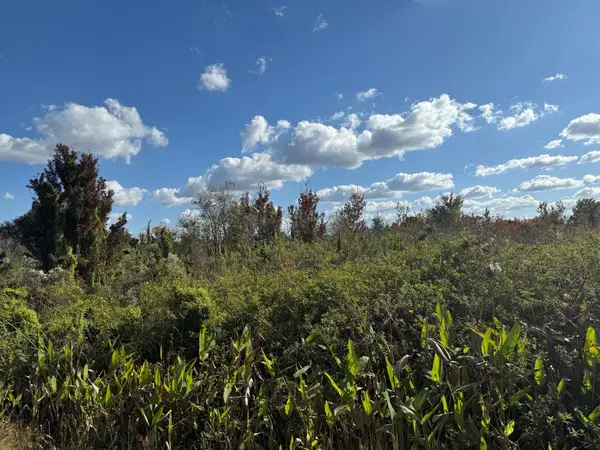 19624 NW 244th Street, Okeechobee, FL 34972