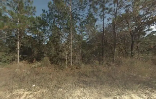 Tbd SW 167th Avenue, Ocala, FL 34481