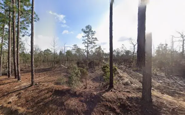 116 Tulip Avenue, Interlachen, FL 32148