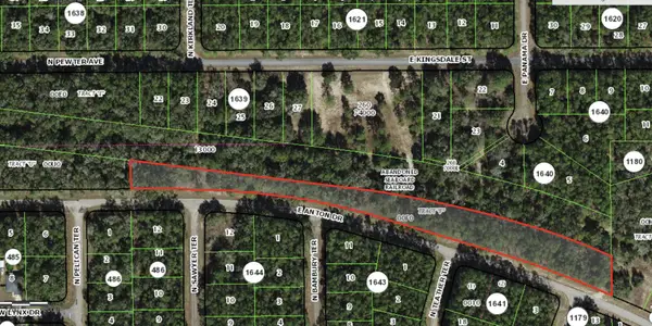 0 E Anton Drive, Citrus Springs, FL 34434