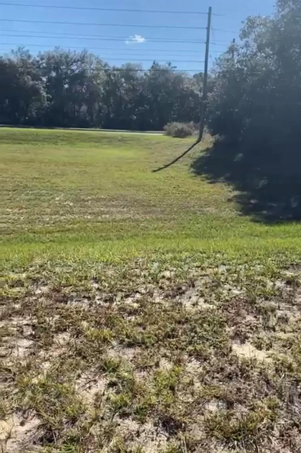 4017 SW 133rd Loop, Ocala, FL 34473 - Image #1