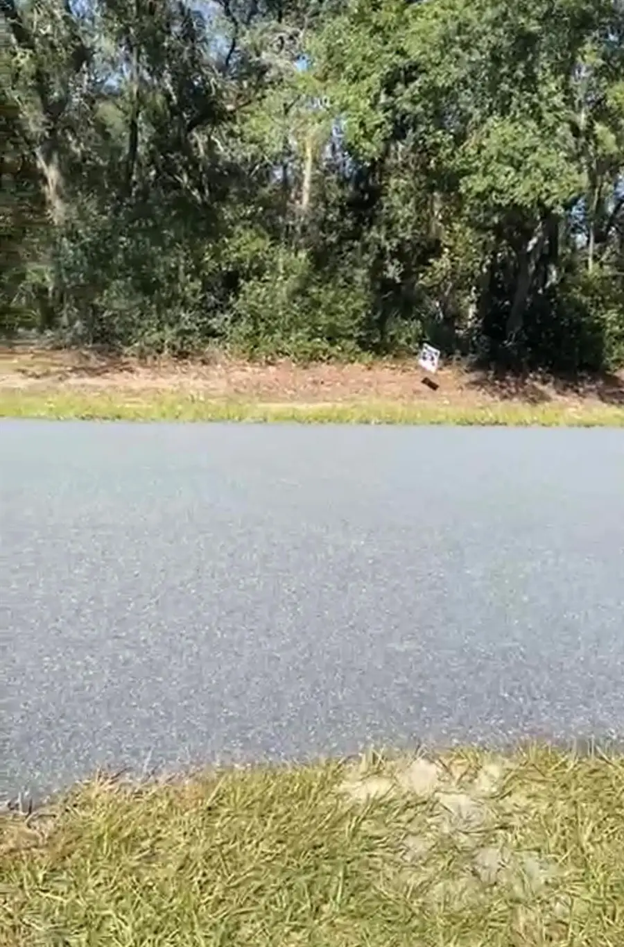 4017 SW 133rd Loop, Ocala, FL 34473 - Image #2