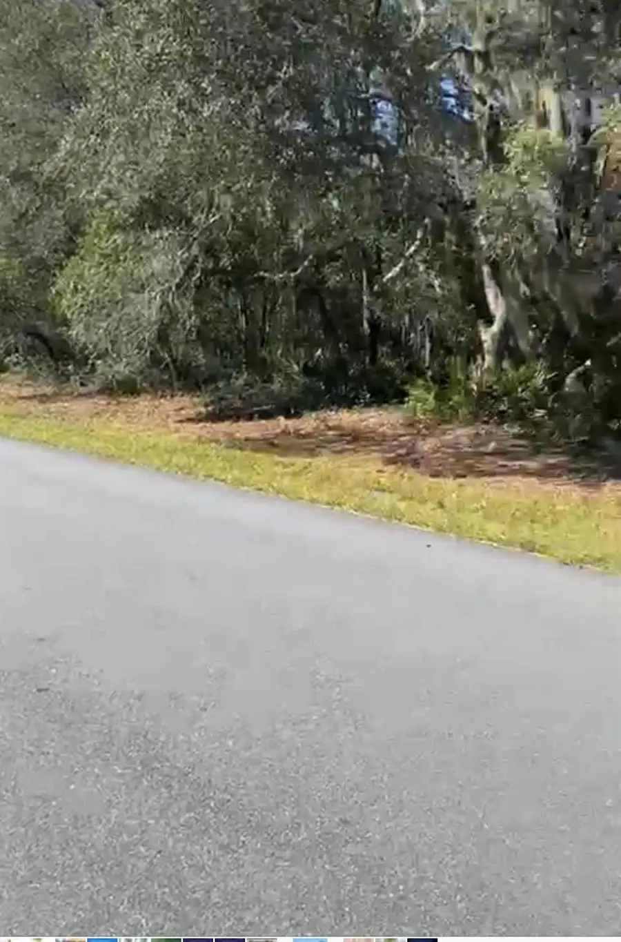 4017 SW 133rd Loop, Ocala, FL 34473 - Image #3