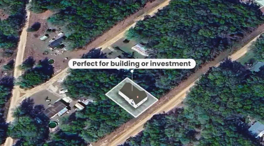 000 Wilson Dr Drive, Interlachen, FL 32148 - Image #3