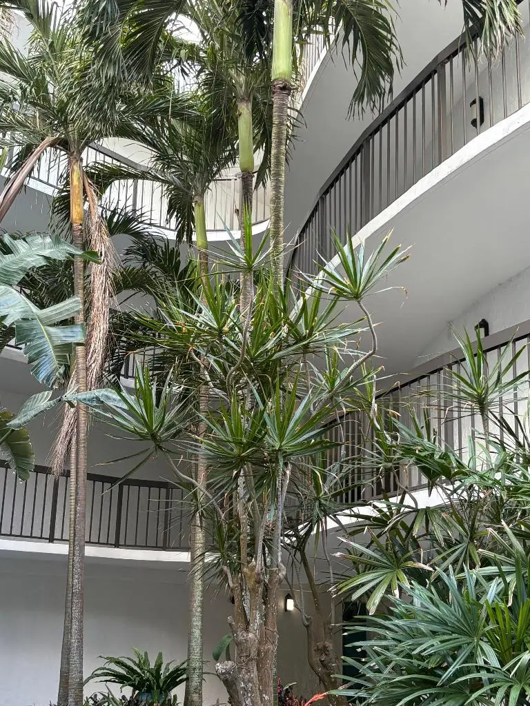 1357 NE Ocean Boulevard #316, Stuart, FL 34996 - Image #1