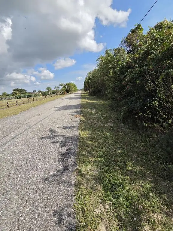 19542 Green Grove Court, Loxahatchee, FL 33470 - #3