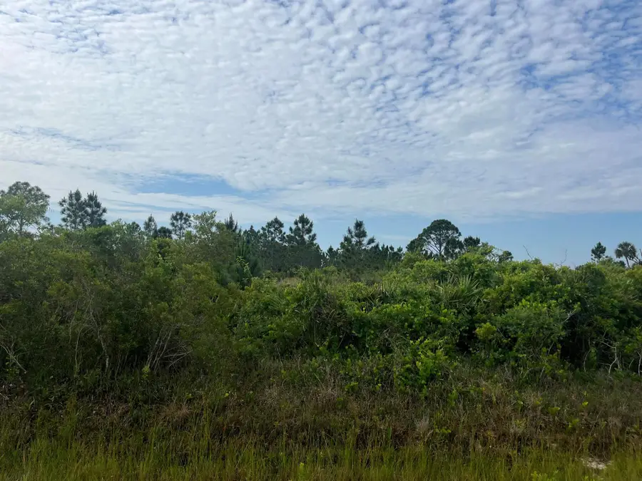 16382 NW 286th Street, Okeechobee, FL 34972 - Image #2