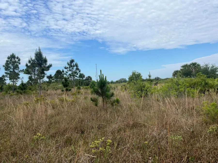 16382 NW 286th Street, Okeechobee, FL 34972 - Image #3