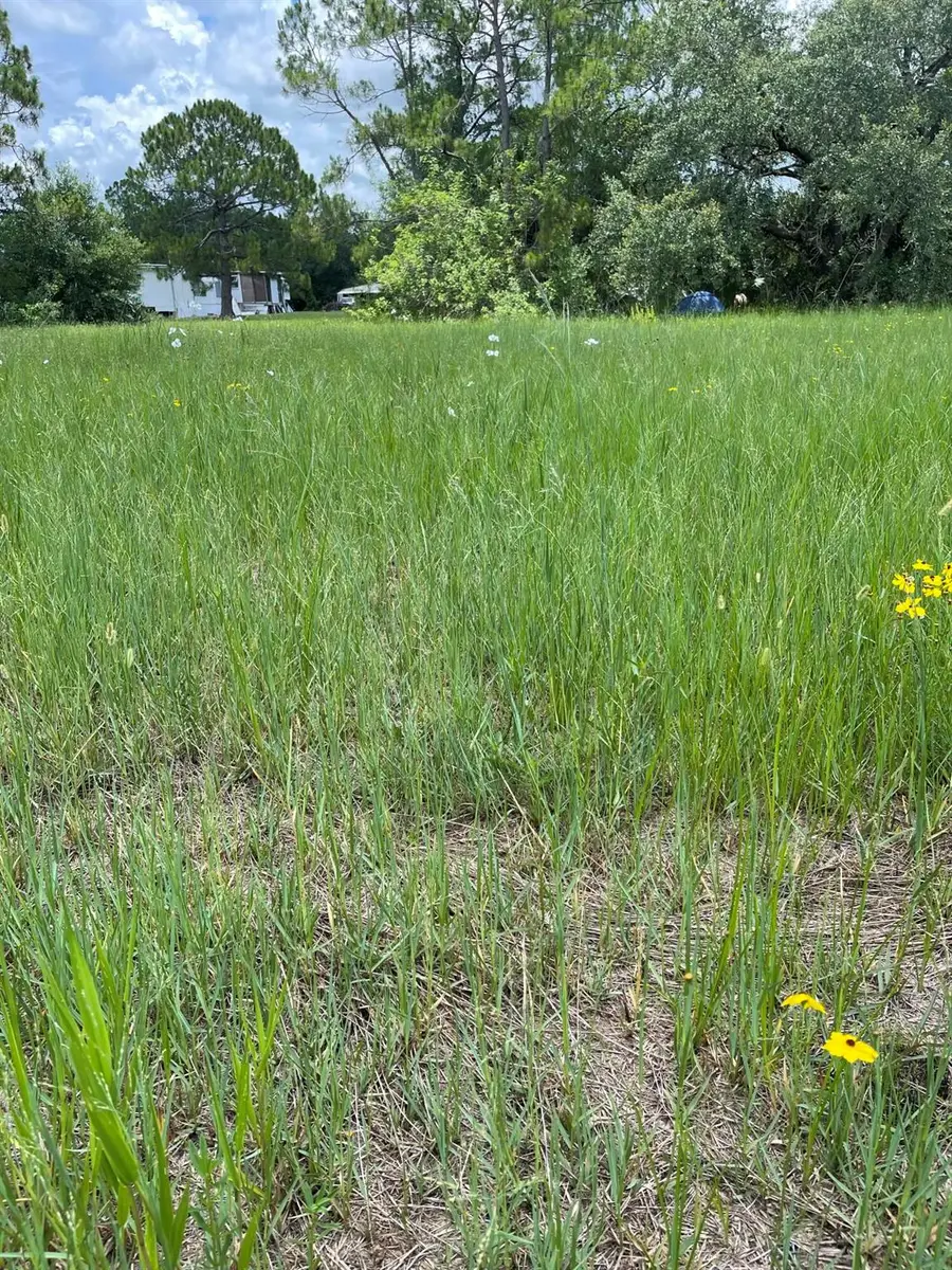 13822 Hamlin Avenue, Clewiston, FL 33440 - Image #3