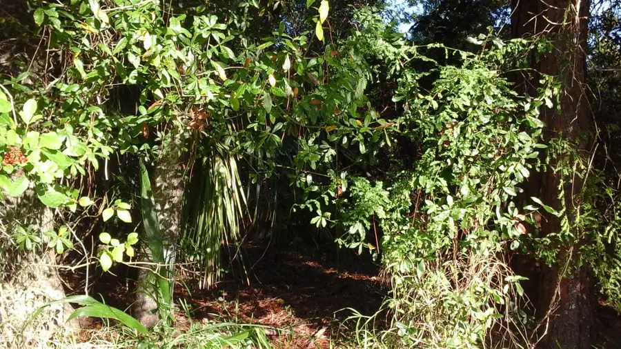 737 Benedictine Terrace, Sebastian, FL 32958 - Image #2