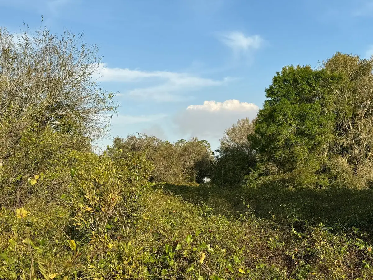 725 N Sendero Street, Clewiston, FL 33440 - Image #1