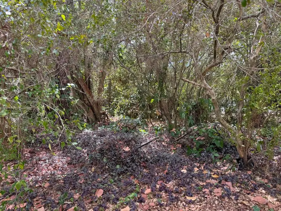 3358 S Jog Road, Greenacres, FL 33467 - #2