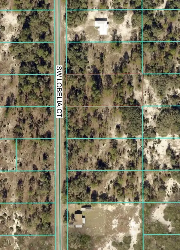 Tbd Lot 32 SW Lobelia Court, Dunnellon, FL 34431