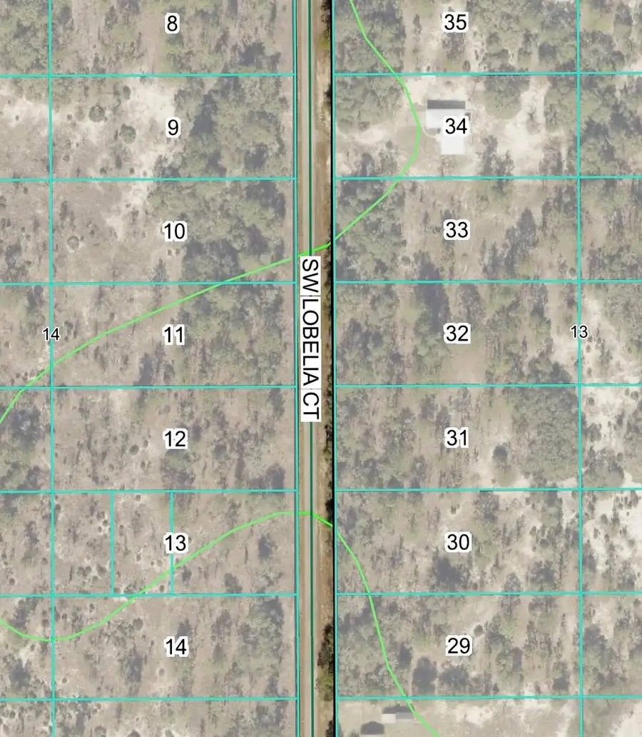 Tbd Lot 32 SW Lobelia Court, Dunnellon, FL 34431 - Image #3