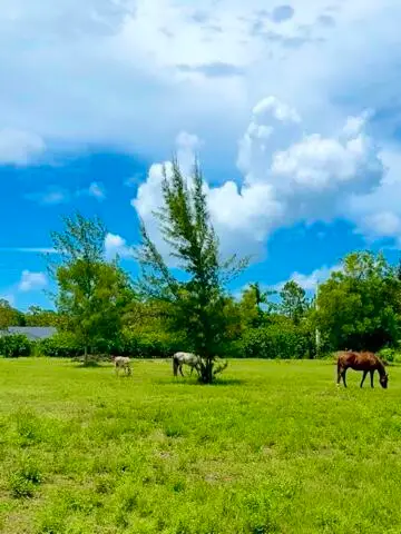 12398 Tangerine Boulevard, West Palm Beach, FL 33412