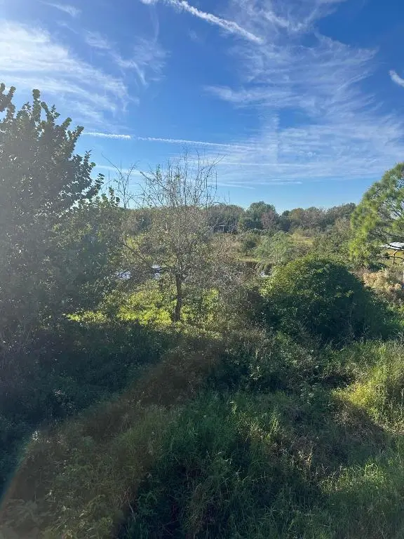 19632 NW 252nd Street, Okeechobee, FL 34972 - Image #3