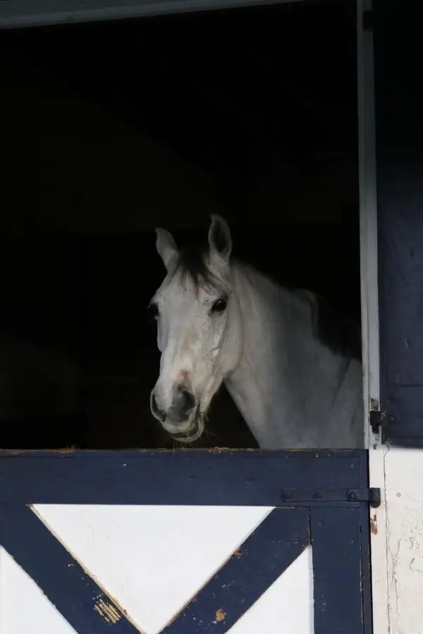 1634 Trotter Court, Wellington, FL 33414