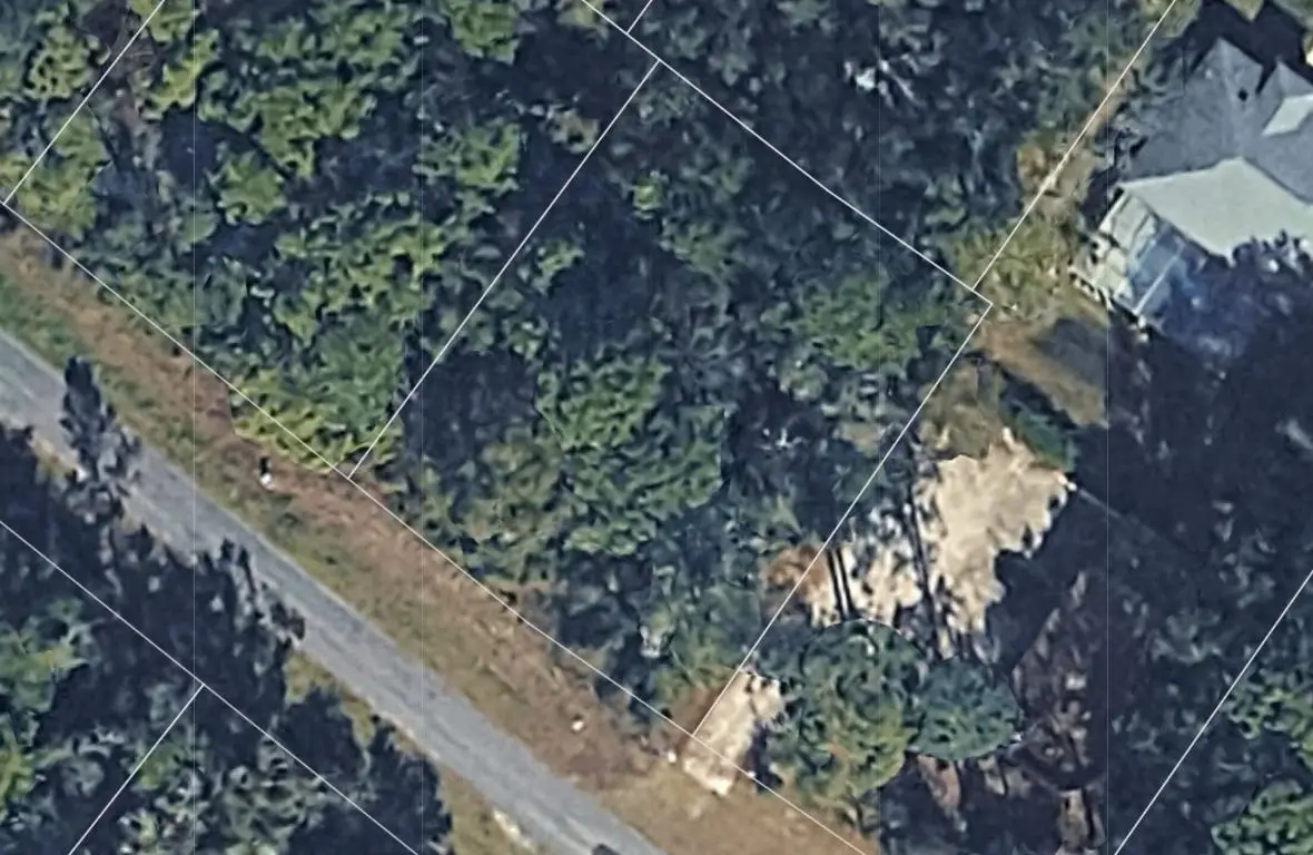 8749 N Upland Drive, Citrus Springs, FL 34434 - Image #1