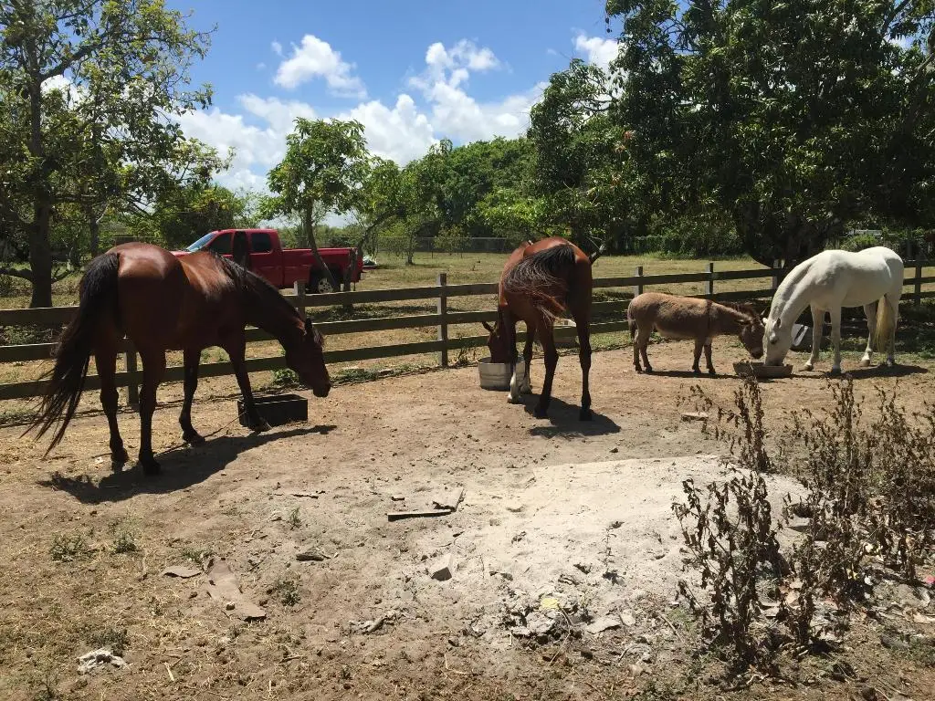 16201 SW 170 Avenue, Miami, FL 33187 - #1