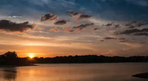 2650 Greenwood Terrace #1250, Boca Raton, FL 33431 - Image #3