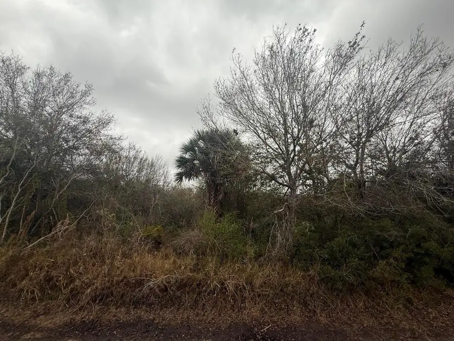 18923 NW 240th Street, Okeechobee, FL 34972 - #3