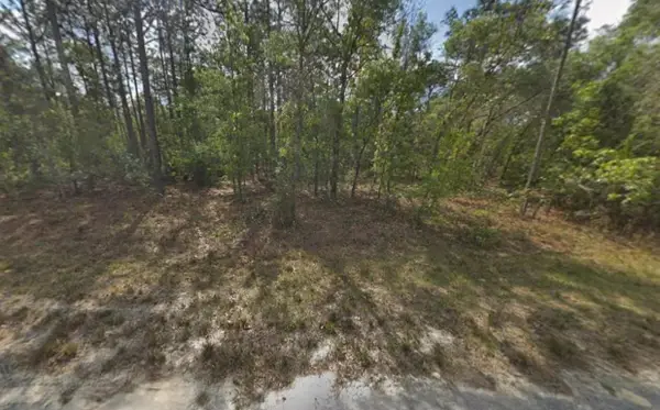 Tbd Resort Avenue, Weeki Wachee, FL 34614