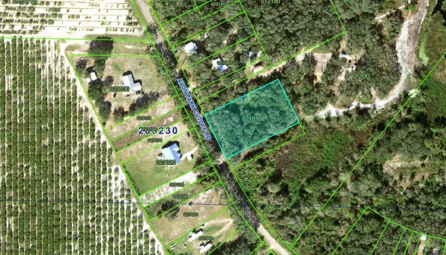 Avon Park Cutoff Road, Frostproof, FL 33843 - Image #3