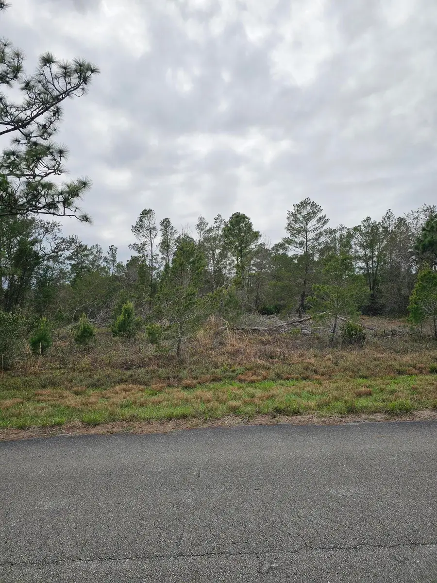 35485 NE 7th Drive, Okeechobee, FL 34972 - #3