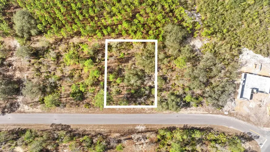 000 No Situs, Ocklawaha, FL 32179 - Image #2